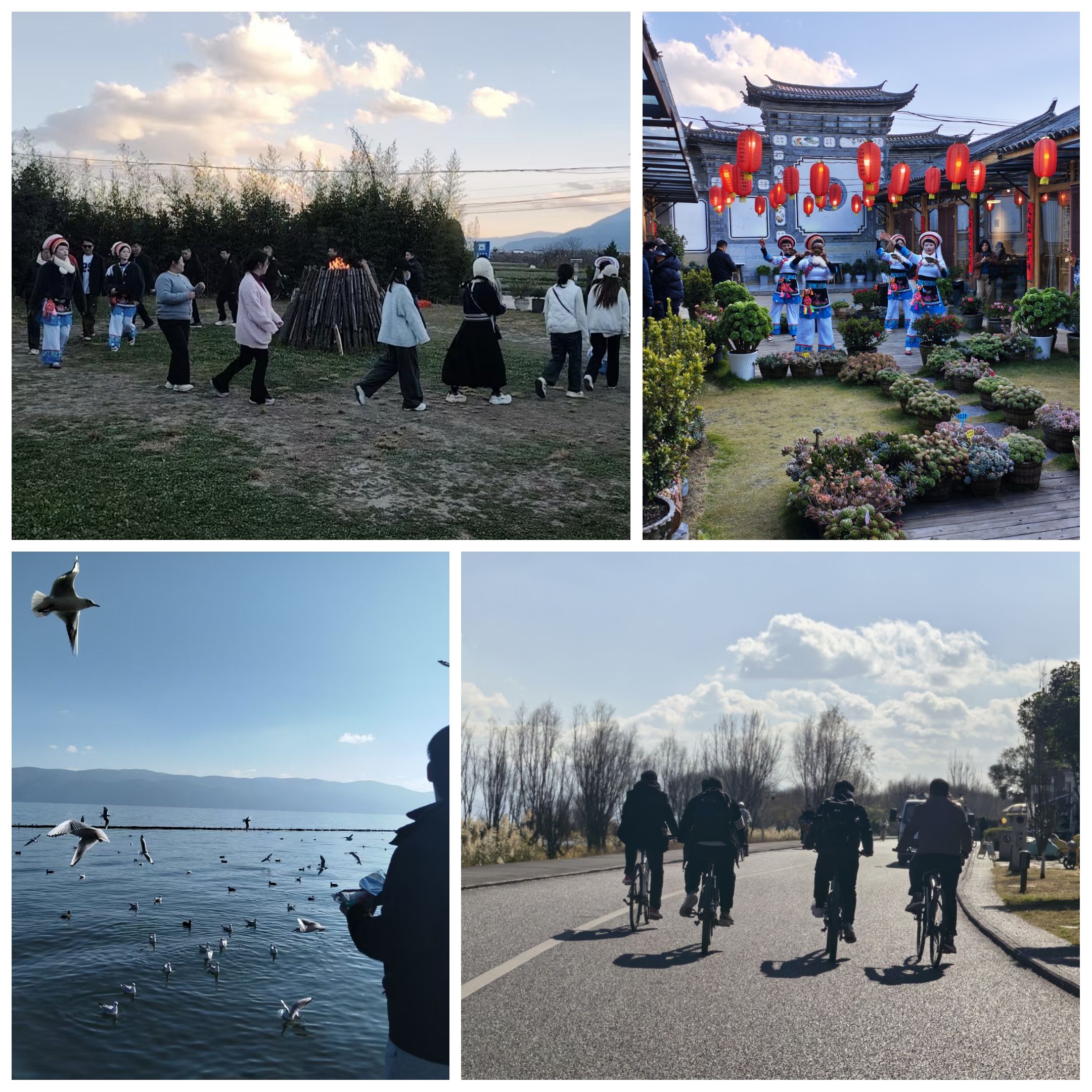 河南易沃克团建之洱海生态走廊